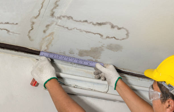 Reliable Water Damage contractor in Waynesboro, VA by Water Damage Irwin